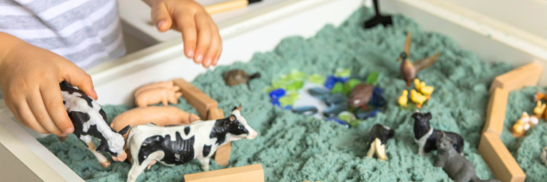 Child Sensory